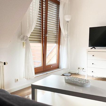 Schoenes 1 Zimmer Apartment Mit Dachterrasse Glauchau Buitenkant foto
