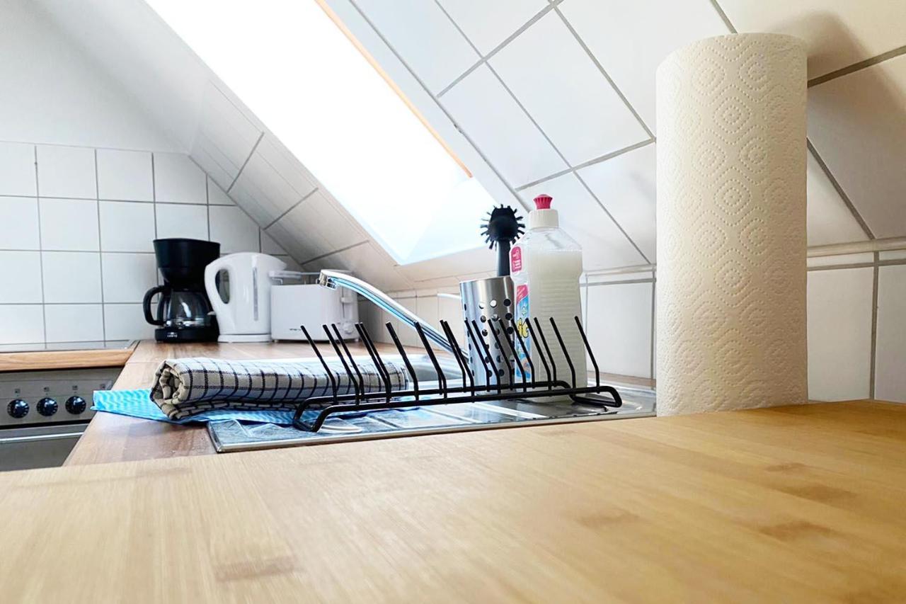 Schoenes 1 Zimmer Apartment Mit Dachterrasse Glauchau Buitenkant foto